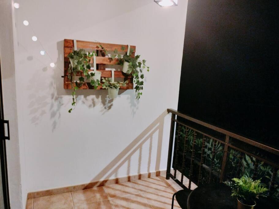 フロンテーラ La Casita De Ariヴィラ エクステリア 写真